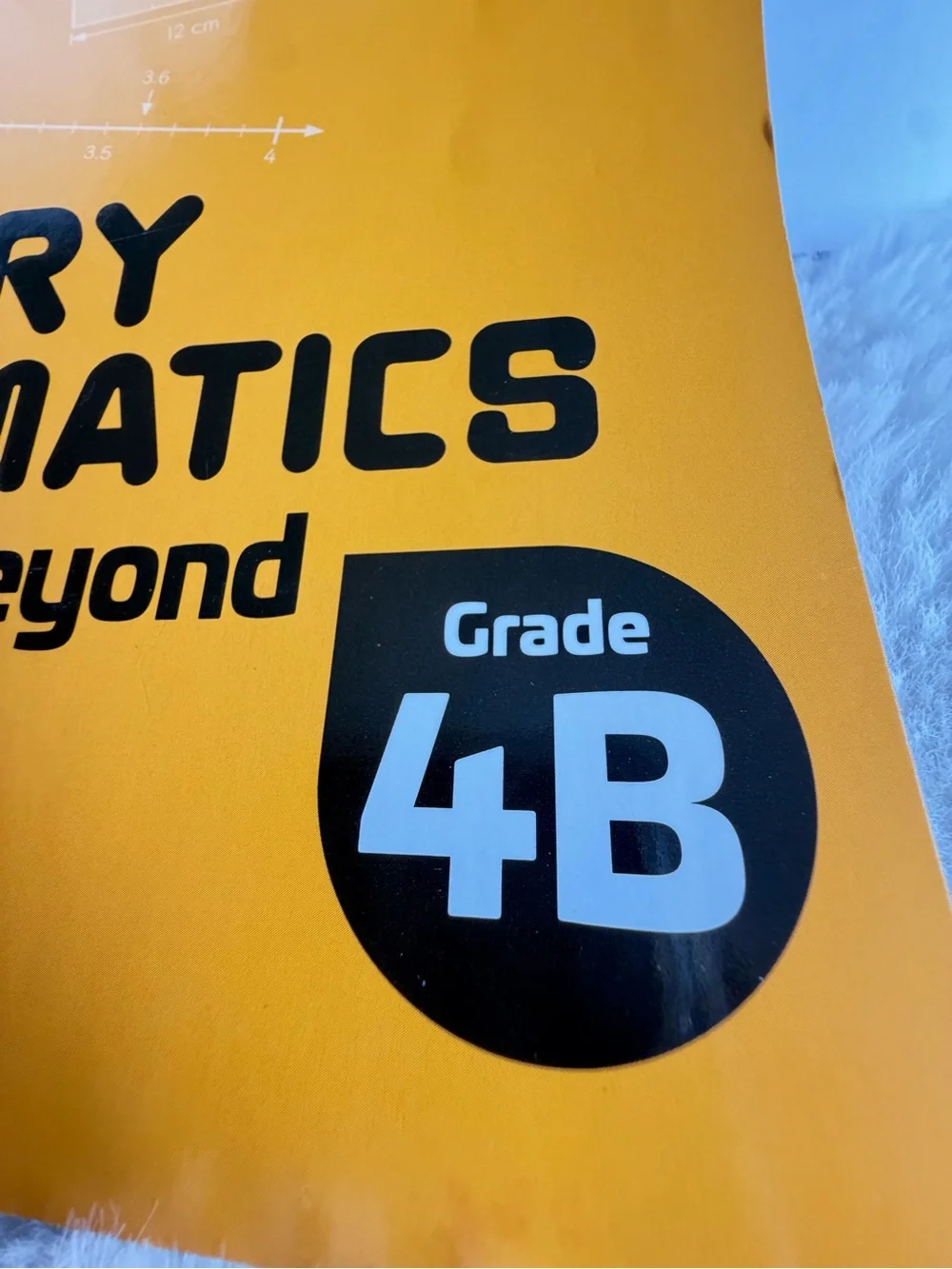 Singapore Math Grade 4 Bundle 4A 4B
